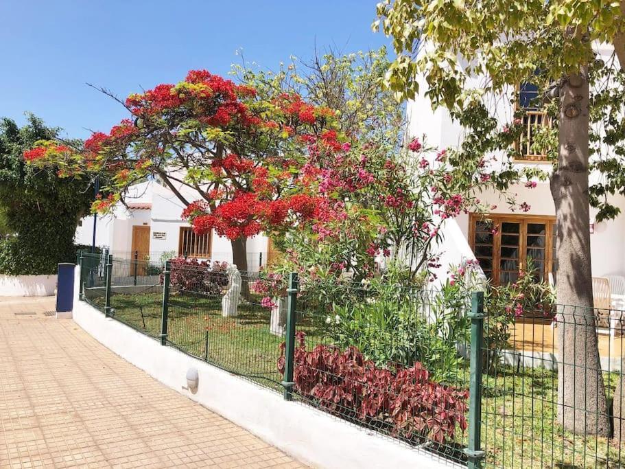 Apartamento Lucia Garden City Con Piscina Climatizada Playa Fanabe Ngoại thất bức ảnh