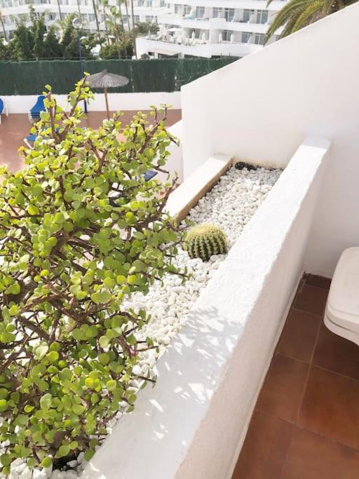 Apartamento Lucia Garden City Con Piscina Climatizada Playa Fanabe Ngoại thất bức ảnh