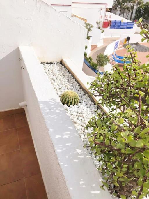 Apartamento Lucia Garden City Con Piscina Climatizada Playa Fanabe Ngoại thất bức ảnh